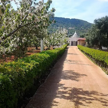 La Collina Degli Ulivi דירה *