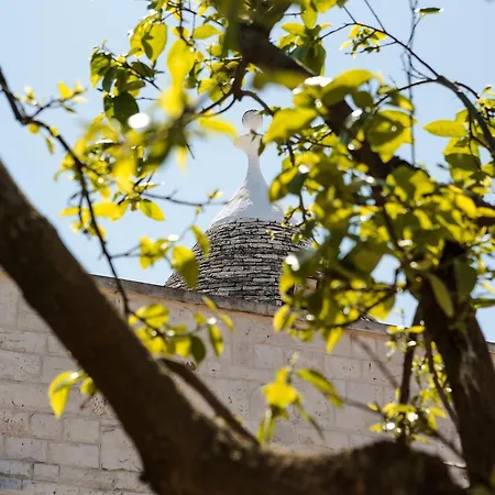 La Collina Degli Ulivi
