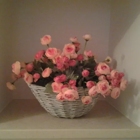 דירה La Collina Degli Ulivi *