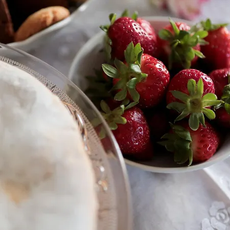 La Collina Degli Ulivi דירה פאסאנו