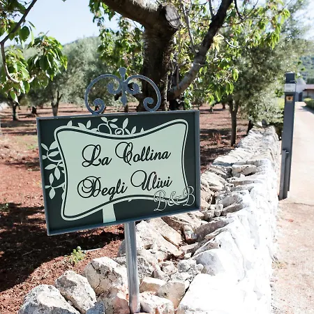 La Collina Degli Ulivi *