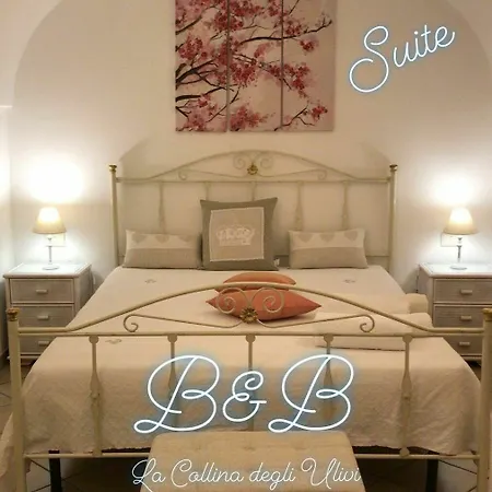 La Collina Degli Ulivi * פאסאנו