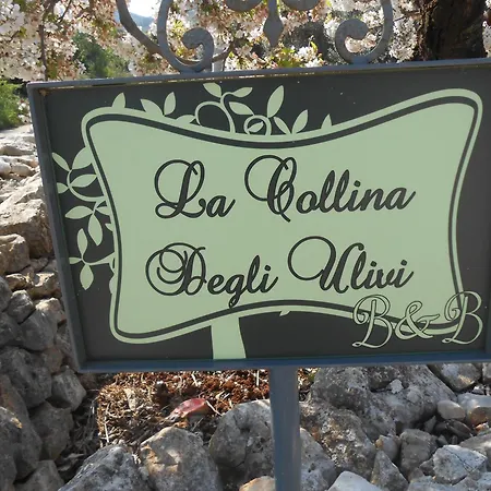 La Collina Degli Ulivi דירה *
