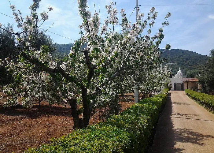 La Collina Degli Ulivi Apartament Fasano