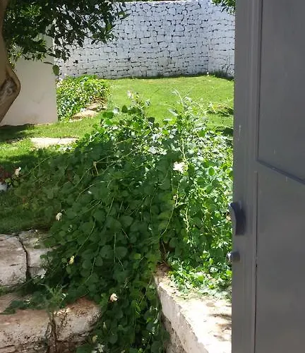 La Collina Degli Ulivi Apartament *