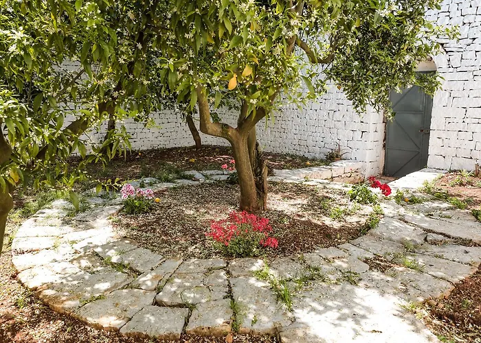 La Collina Degli Ulivi Apartament