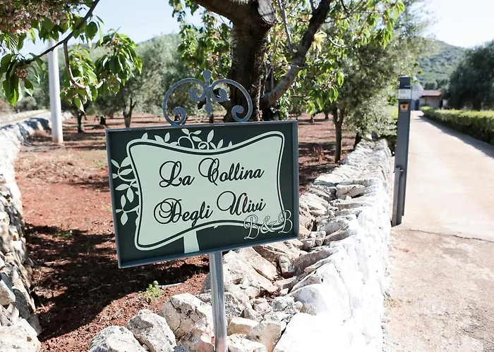 La Collina Degli Ulivi *