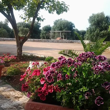 Appartement La Collina Degli Ulivi Fasano