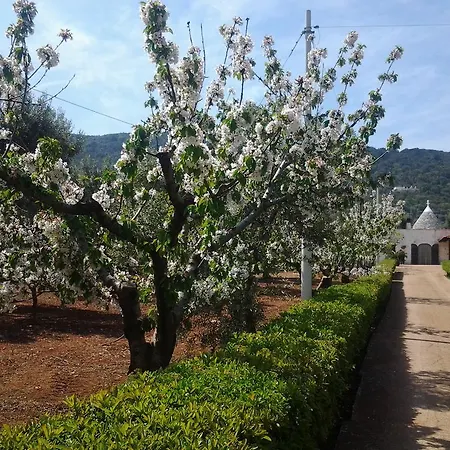 La Collina Degli Ulivi Appartement Fasano