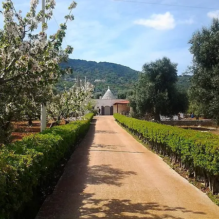 La Collina Degli Ulivi Fasano