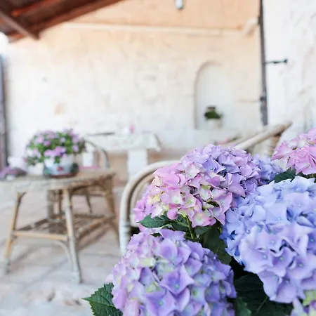 Appartement La Collina Degli Ulivi Fasano