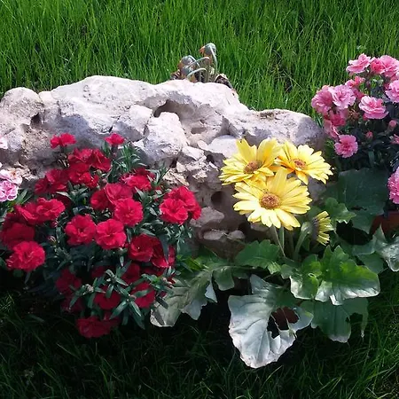 Διαμέρισμα La Collina Degli Ulivi