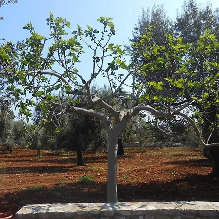 Appartamento La Collina Degli Ulivi *