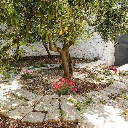 La Collina Degli Ulivi Appartement