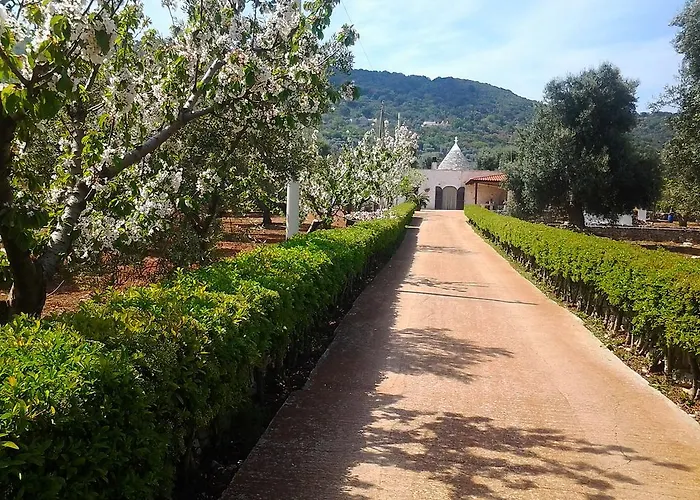 La Collina Degli Ulivi Appartement *